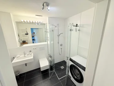 Entire apartment at Brechtelstraße, image 10 of 16