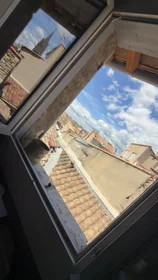 Logement entier à Rue des Teissiers, image 8 de 8