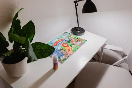 Privatzimmer in der Gliesmaroder Straße, bild 28 von 32