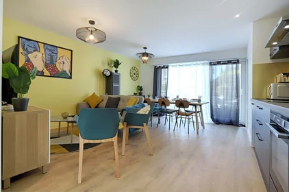 Private room at 43 Rue Félix Menetrier, 44300 Nantes, France, image 4 of 9