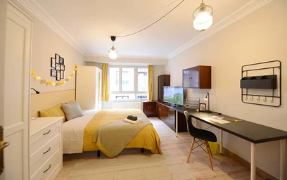 Quarto privado em Ramón y Cajal Etorb., 48014 Bilbo, Bizkaia, Spain, imagem 2 de 20
