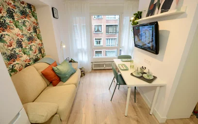 Entire apartment at San Frantzisko Kalea, 48003 Bilbo, Bizkaia, Spain, image 10 of 18