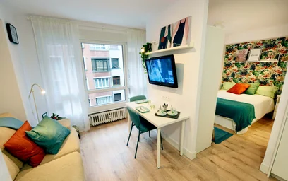 Entire apartment at San Frantzisko Kalea, 48003 Bilbo, Bizkaia, Spain, image 1 of 18