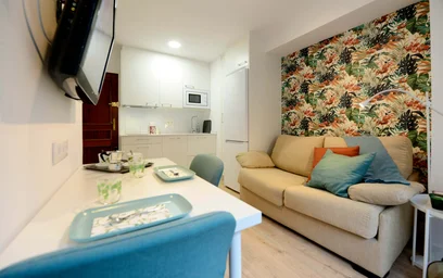 Entire apartment at San Frantzisko Kalea, 48003 Bilbo, Bizkaia, Spain, image 13 of 18
