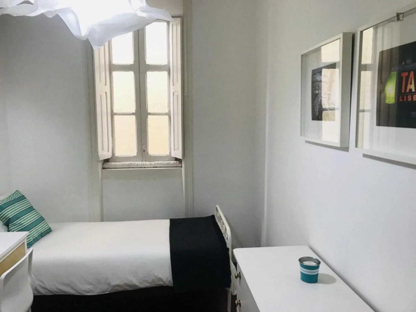 Affordable room for students with ample lighting in 