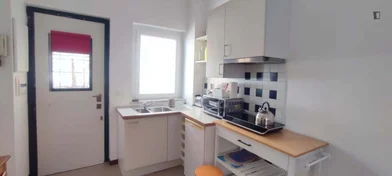 Logement entier à Viale Vaticano, image 9 de 24