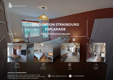 Private room at Strasbourg, 67000, image 1 of 10