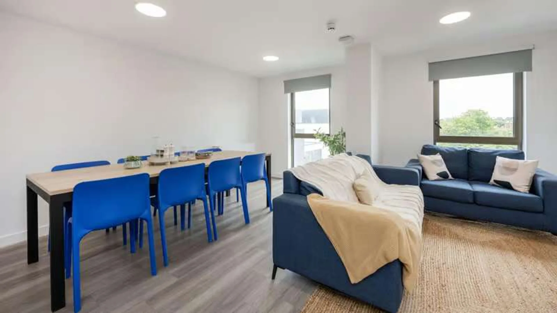 Budget-friendly student room close to campus in 