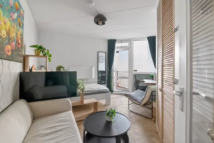 Entire apartment at Weteringschans, Amsterdam-Centrum, image 1 of 10