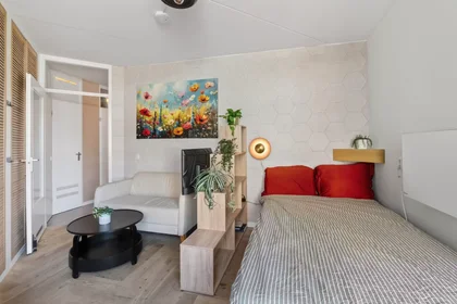 Gesamte Unterkunft in der Weteringschans, Amsterdam-Centrum, bild 4 von 10