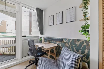 Gesamte Unterkunft in der Weteringschans, Amsterdam-Centrum, bild 7 von 10