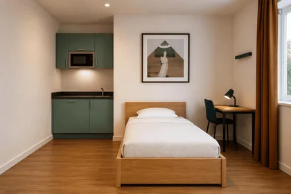 Private room at avenue de de la Paix, image 1 of 7
