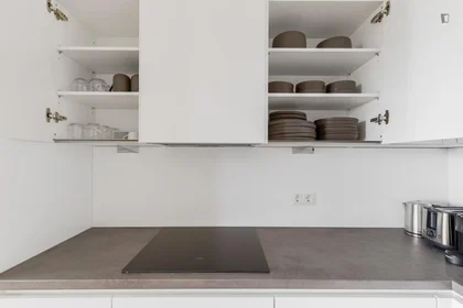 Entire apartment at Leopold-Böhm-Straße, image 11 of 18