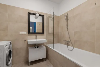 Entire apartment at Leopold-Böhm-Straße, image 13 of 18