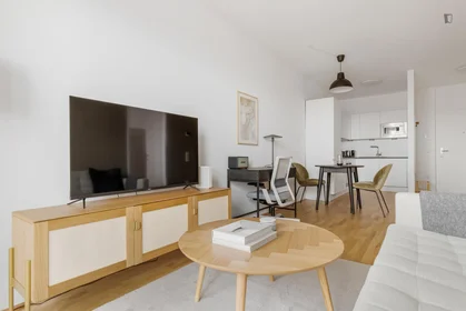 Entire apartment at Leopold-Böhm-Straße, image 6 of 18