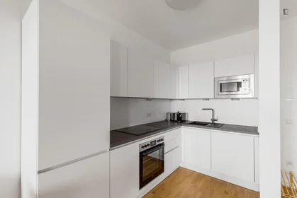 Entire apartment at Leopold-Böhm-Straße, image 10 of 18