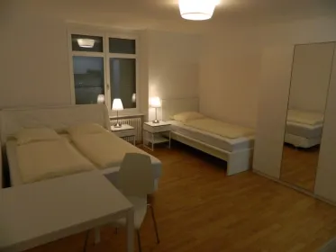 Stylowe mieszkanie typu studio w Basel