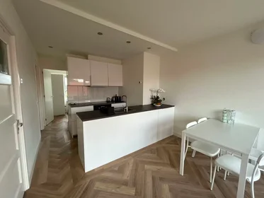 Appartamento intero in Van Heemskerckstraat, Zeeheldenbuurt, immagine 4 di 10
