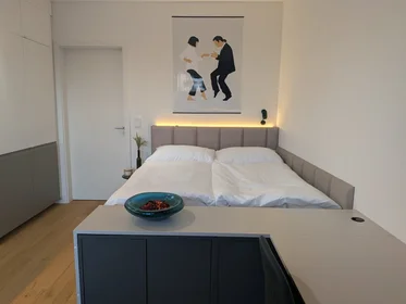 Alojamiento entero en Bratislavská 82, imagen 7 de 32