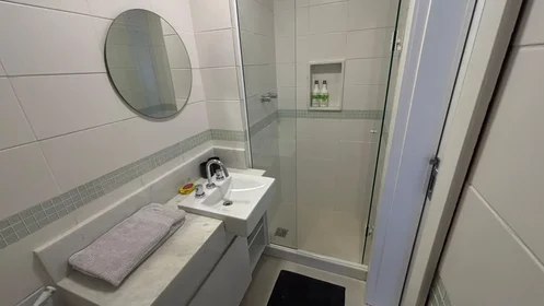 Logement entier à Avenida General Guedes da Fontoura 589, image 30 de 30