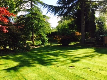 Bright private room in Newcastle-under-lyme