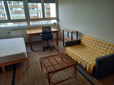 Prywatny pokój Strasbourg, 67000, obraz 1 7