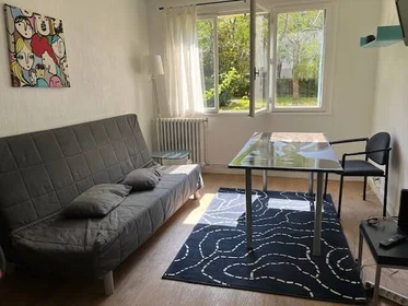 Private room at Toulouse, 31500, image 1 of 10
