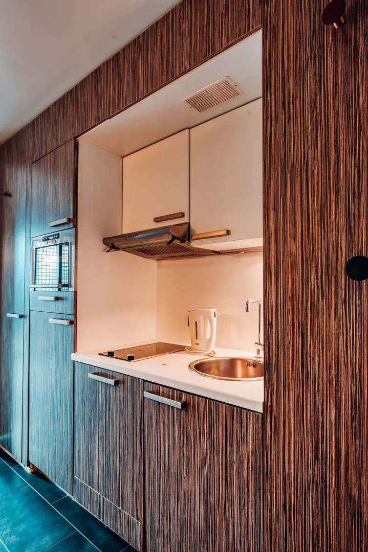 Chic studio apartment near campus in 
