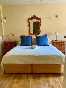 Stanza privata in Calle Ramonet, immagine 1 di 10