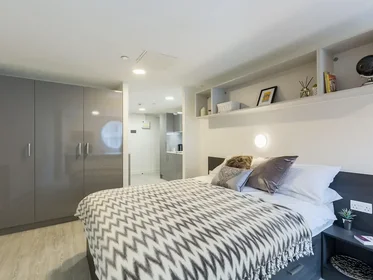 Studio im Wohnheim in der Livin 21-27 City Rd, Cardiff CF24 3BJ, United Kingdom, bild 5 von 20