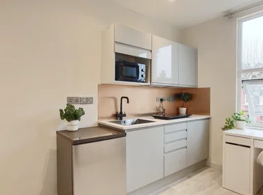 Shared room in residence at 68 Villiers Rd, Kingston upon Thames KT1 3BB, UK, image 40 of 44