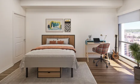 Apartamento inteiro em residência em 427 N Lake St, Madison, WI 53715, United States, imagem 10 de 20
