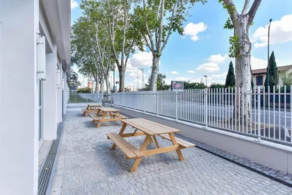Chambre privée à Lardenne, Haute-Garonne, image 15 de 26