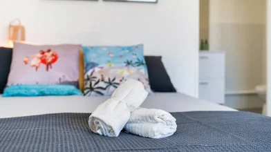 Stanza privata in Lardenne, Haute-Garonne, immagine 20 di 26