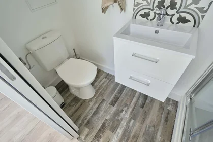 Stanza privata in 44 Bd de Belfort, 59000 Lille, France, immagine 8 di 20
