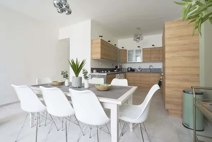 Habitación privada en 54 Rue d'Isly, 59000 Lille, France, imagen 14 de 19