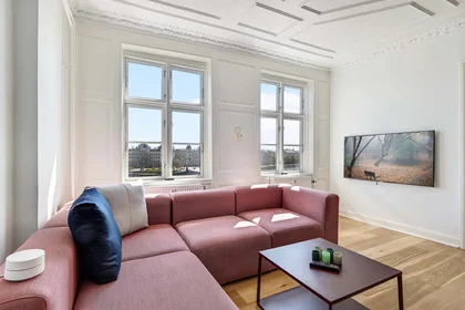 Stanza privata in Nørrebro, Copenhagen, Denmark, immagine 1 di 13