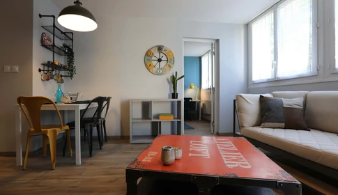 Stanza privata in Rue Emile Guyou, 31400 Toulouse, France, immagine 8 di 14
