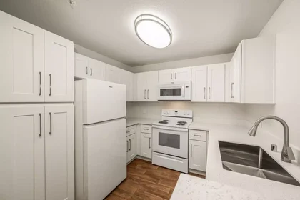 Stanza privata in Palmilla Drive, immagine 4 di 32