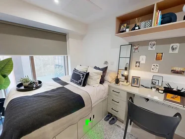 Quarto privado em Lancaster Street, imagem 1 de 49
