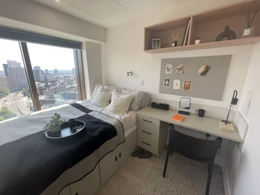 Quarto privado em Lancaster Street, imagem 11 de 49