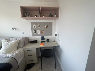 Quarto privado em Lancaster Street, imagem 15 de 49