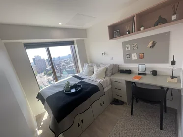 Quarto privado em Lancaster Street, imagem 17 de 49