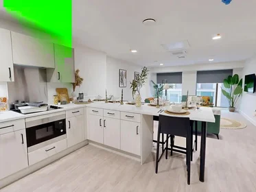 Quarto privado em Lancaster Street, imagem 6 de 49
