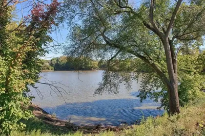 Quarto privado em North River Road, imagem 22 de 22