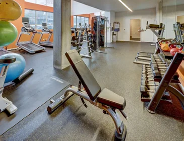 Stanza privata in 11th Avenue Northeast, immagine 14 di 18