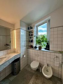 Apartamento inteiro em Am Beethovenpark, imagem 11 de 23