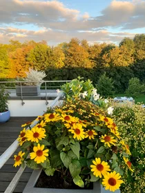 Apartamento inteiro em Am Beethovenpark, imagem 15 de 23