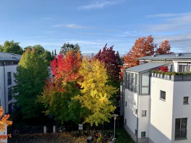 Apartamento inteiro em Am Beethovenpark, imagem 17 de 23