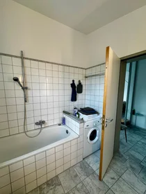Apartamento inteiro em Am Beethovenpark, imagem 20 de 23